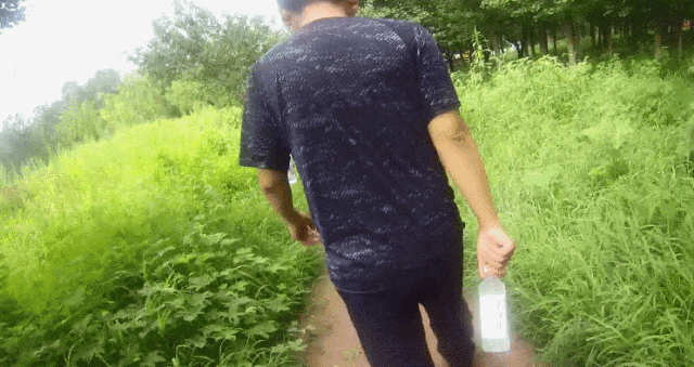 640 (3).gif