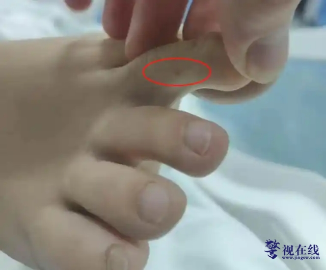 微信图片_20250606114207_副本.png