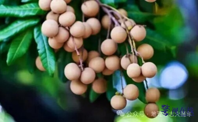 640_副本.jpg 640_副本.jpg