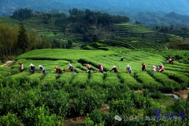 640 (9)_副本.jpg 640 (9)_副本.jpg